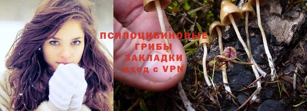 сатива Алексеевка