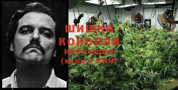 сатива Алексеевка