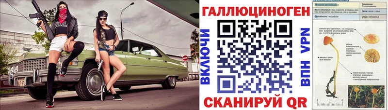 Галлюциногенные грибы Psilocybe  OMG как зайти  Цивильск  наркота 